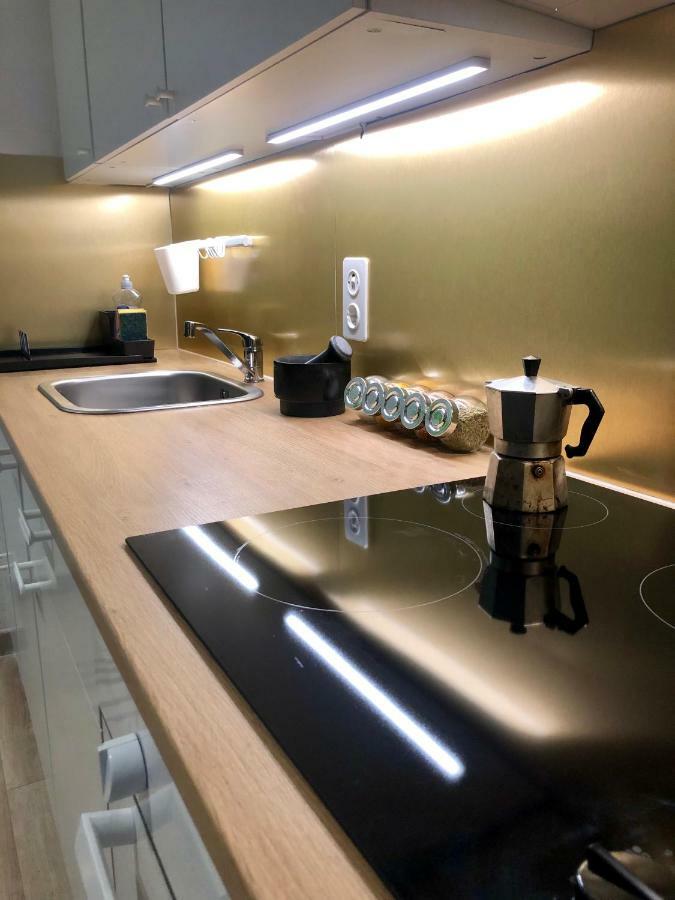 Cool & Central 2 Bedroom In Heart Of Eaux-Vives جنيفا المظهر الخارجي الصورة